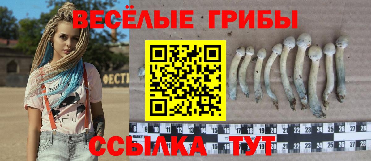 Псилоцибиновые грибы Psilocybe  Вход с VPN  Изобильный 